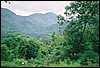 CNV00018.JPG